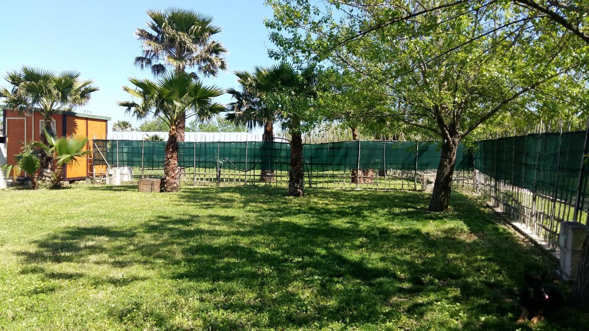 Villa Luna A Pochi Passi Dalla Spiaggia Avola Exterior foto